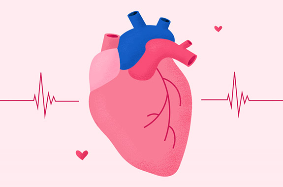 Tutto sulla Frequenza Cardiaca (Polso)